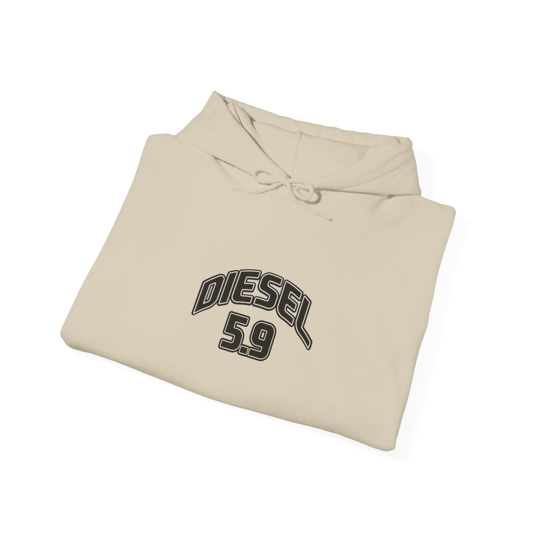Diesel 5.9 Hoodie - Minimal White Pullover with Retro Arched Logo